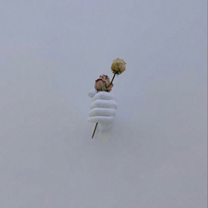 男女性色大片免费网站
