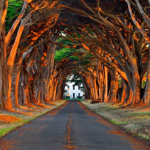 男女性色大片免费网站
